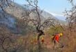 CEPC coordina esfuerzo de más de 100 combatientes forestales en Tarachi